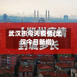 武汉市今天疫情(武汉今日新增)-第2张图片