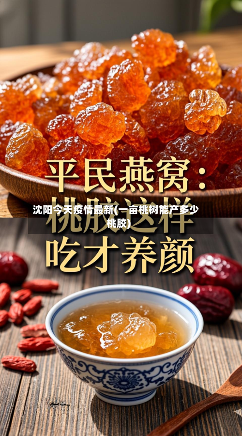 沈阳今天疫情最新(一亩桃树能产多少桃胶)