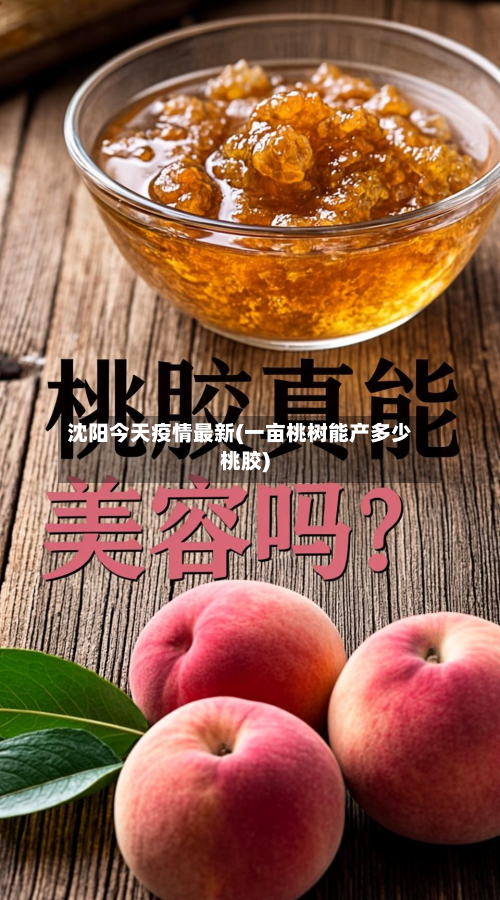沈阳今天疫情最新(一亩桃树能产多少桃胶)-第2张图片