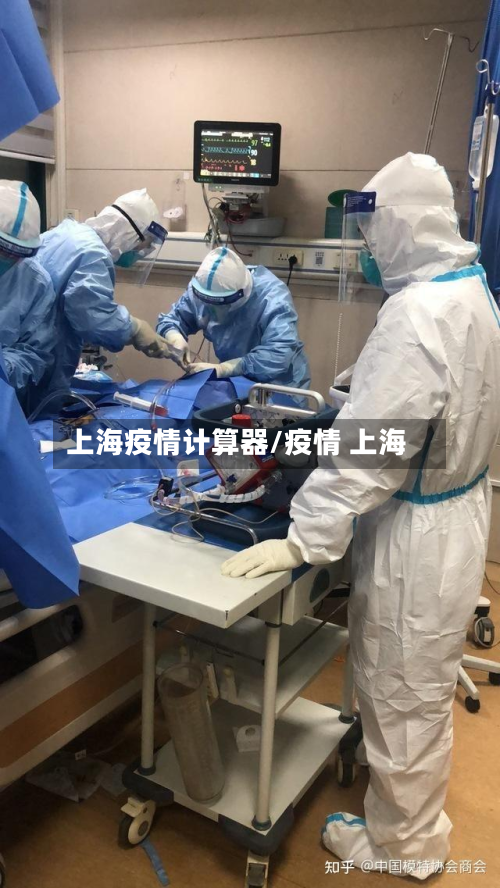 上海疫情计算器/疫情 上海-第3张图片