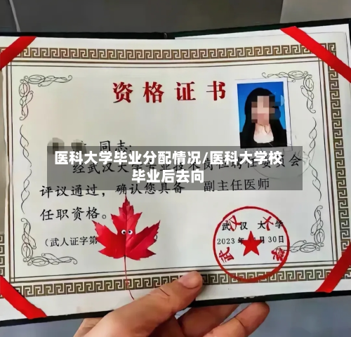 医科大学毕业分配情况/医科大学校毕业后去向-第2张图片