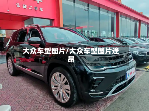 大众车型图片/大众车型图片途昂-第2张图片