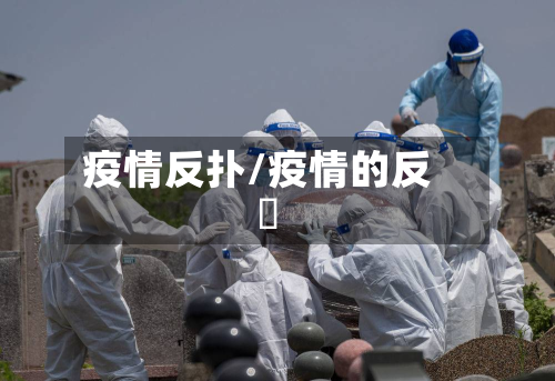 疫情反扑/疫情的反唊-第2张图片