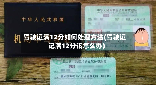 驾驶证满12分如何处理方法(驾驶证记满12分该怎么办)