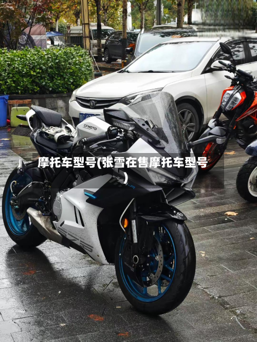 摩托车型号(张雪在售摩托车型号)-第3张图片