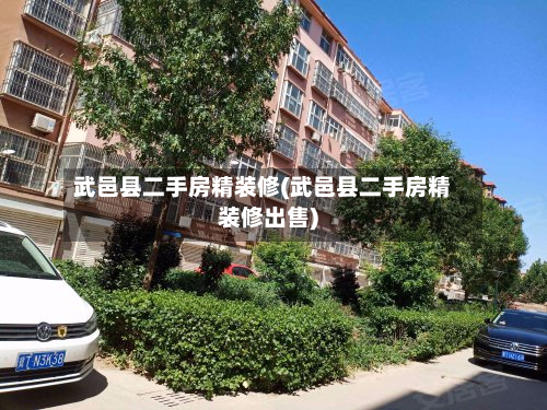 武邑县二手房精装修(武邑县二手房精装修出售)