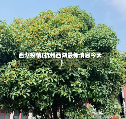 西湖疫情(杭州西湖最新消息今天)