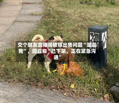 交个朋友直播间被曝出售问题“溜溜凳”	，回应称“已下架，正在紧急沟通	”-第2张图片