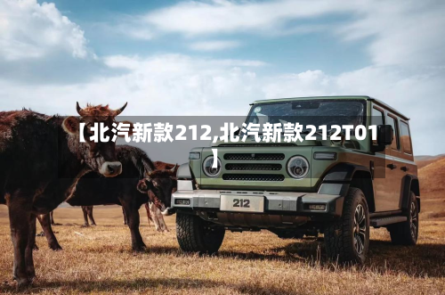【北汽新款212,北汽新款212T01】