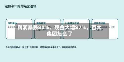 利润暴跌80%、现金大增87%，百大集团怎么了-第3张图片
