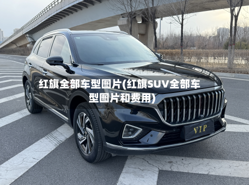 红旗全部车型图片(红旗SUV全部车型图片和费用)-第2张图片