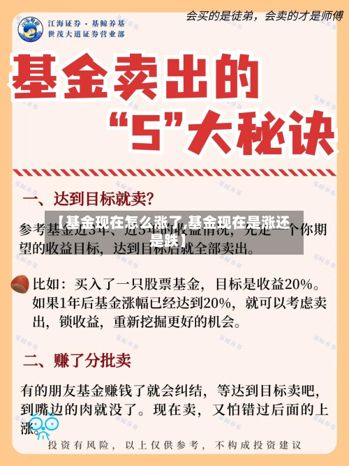 【基金现在怎么涨了,基金现在是涨还是跌】