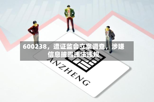 600238，遭证监会立案调查	，涉嫌信息披露违法违规-第3张图片