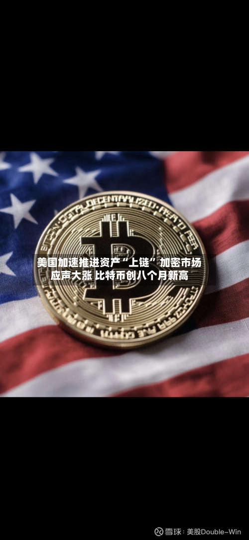 美国加速推进资产“上链	” 加密市场应声大涨 比特币创八个月新高-第2张图片