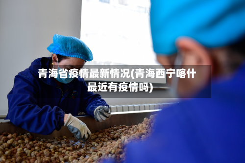 青海省疫情最新情况(青海西宁喀什最近有疫情吗)-第3张图片