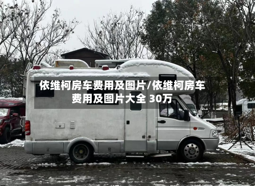 依维柯房车费用及图片/依维柯房车费用及图片大全 30万
