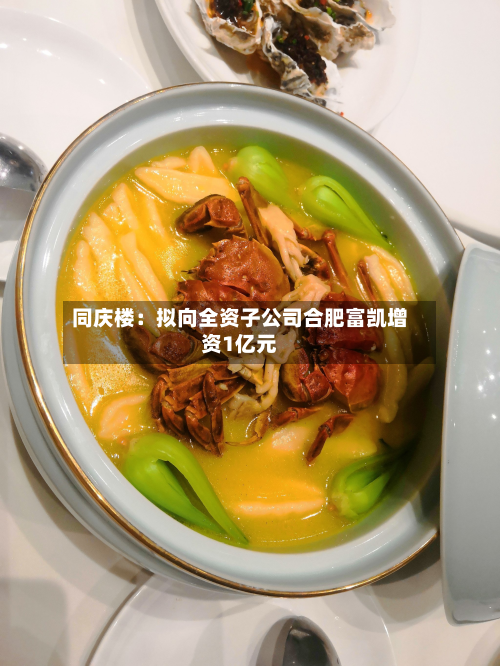 同庆楼：拟向全资子公司合肥富凯增资1亿元