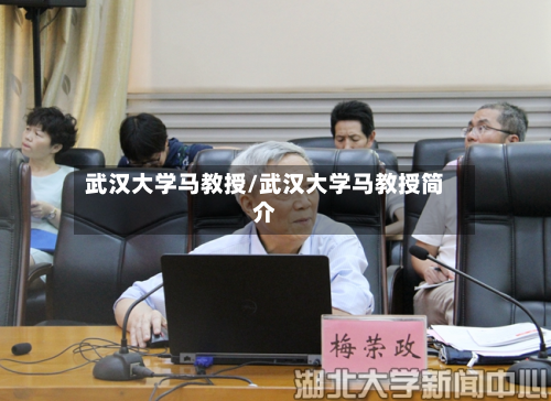 武汉大学马教授/武汉大学马教授简介-第2张图片