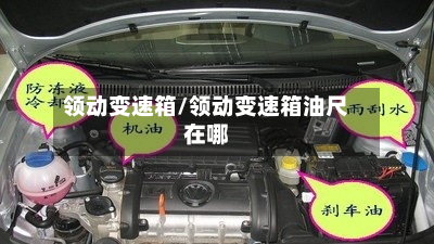 领动变速箱/领动变速箱油尺在哪
