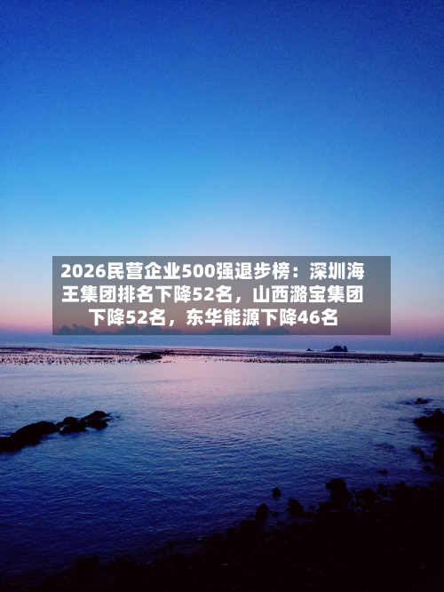 2026民营企业500强退步榜：深圳海王集团排名下降52名，山西潞宝集团下降52名	，东华能源下降46名-第2张图片