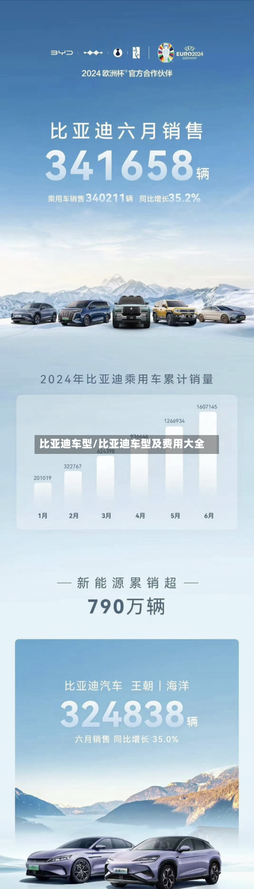 比亚迪车型/比亚迪车型及费用大全-第2张图片
