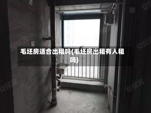 毛坯房适合出租吗(毛坯房出租有人租吗)-第3张图片