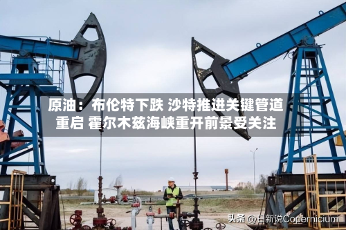 原油:布伦特下跌 沙特推进关键管道重启 霍尔木兹海峡重开前景受关注-第2张图片