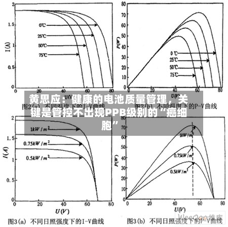 黄思应：健康的电池质量管理，关键是管控不出现PPB级别的“癌细胞”-第3张图片