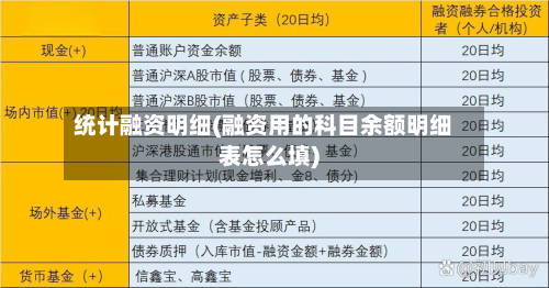 统计融资明细(融资用的科目余额明细表怎么填)