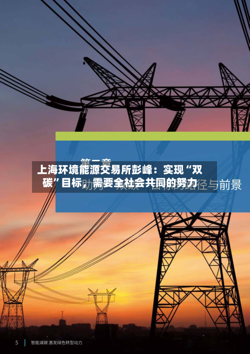 上海环境能源交易所彭峰：实现“双碳”目标，需要全社会共同的努力