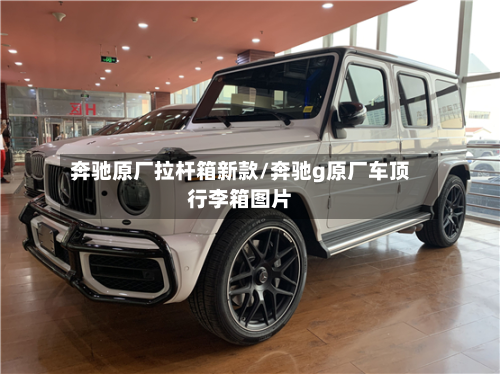 奔驰原厂拉杆箱新款/奔驰g原厂车顶行李箱图片-第3张图片