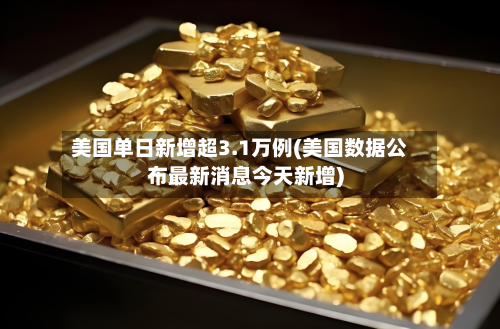 美国单日新增超3.1万例(美国数据公布最新消息今天新增)