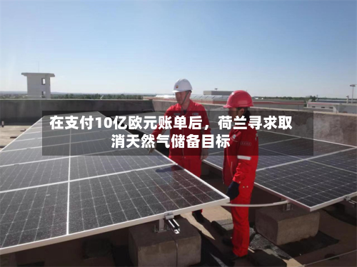 在支付10亿欧元账单后，荷兰寻求取消天然气储备目标