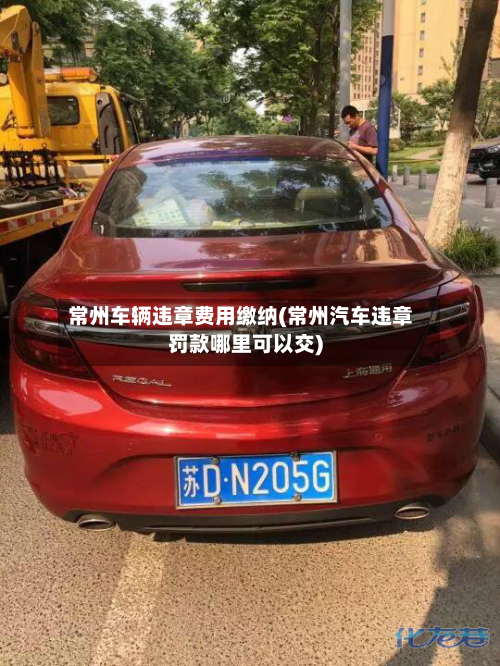 常州车辆违章费用缴纳(常州汽车违章罚款哪里可以交)-第2张图片