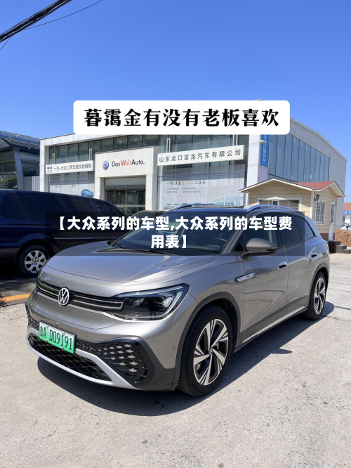 【大众系列的车型,大众系列的车型费用表】