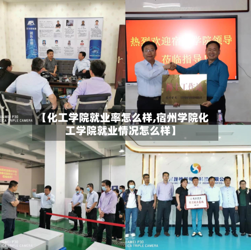 【化工学院就业率怎么样,宿州学院化工学院就业情况怎么样】-第2张图片