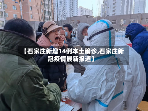 【石家庄新增14例本土确诊,石家庄新冠疫情最新报道】-第2张图片