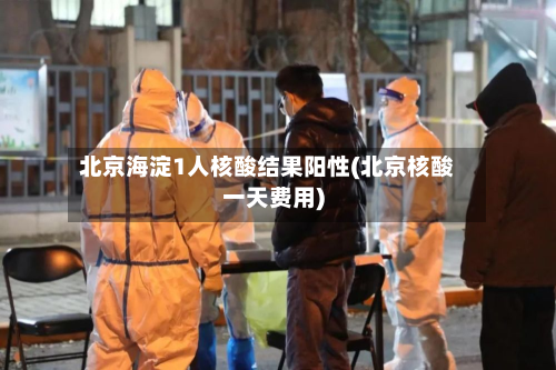 北京海淀1人核酸结果阳性(北京核酸一天费用)-第2张图片