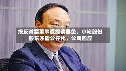 投反对票董事遭提请罢免	，小崧股份股东矛盾公开化，公司回应-第2张图片