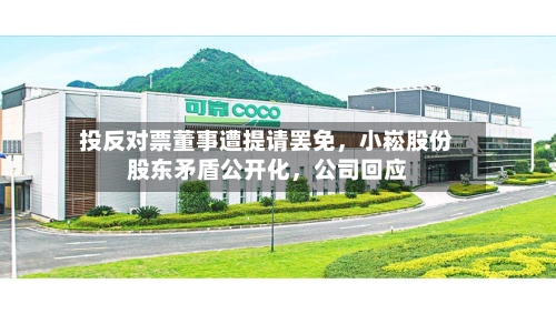投反对票董事遭提请罢免，小崧股份股东矛盾公开化，公司回应-第1张图片