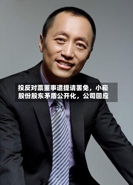投反对票董事遭提请罢免	，小崧股份股东矛盾公开化，公司回应-第3张图片