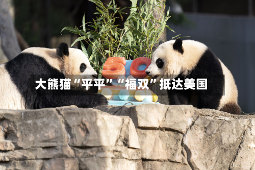 大熊猫“平平”“福双”抵达美国-第2张图片
