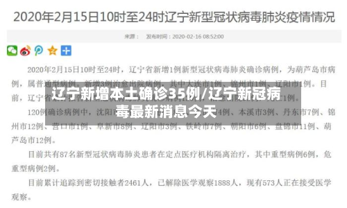 辽宁新增本土确诊35例/辽宁新冠病毒最新消息今天-第2张图片
