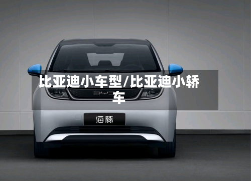 比亚迪小车型/比亚迪小轿车-第2张图片