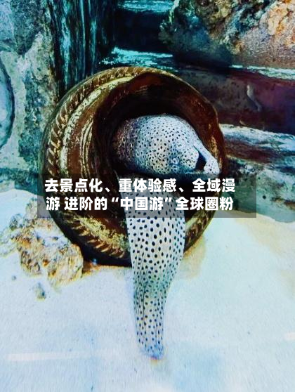去景点化	、重体验感、全域漫游 进阶的“中国游”全球圈粉-第2张图片