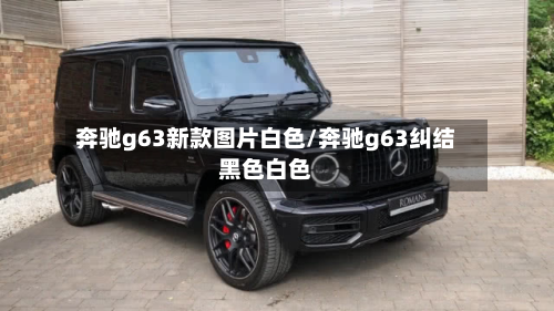 奔驰g63新款图片白色/奔驰g63纠结黑色白色