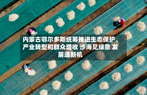 内蒙古鄂尔多斯统筹推进生态保护、产业转型和群众增收 沙海见绿意 发展遇新机