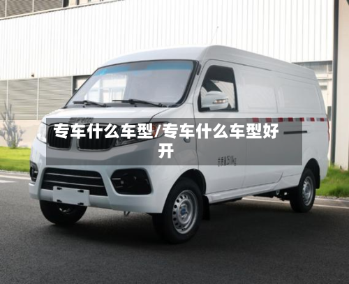 专车什么车型/专车什么车型好开