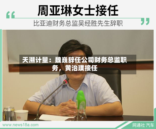 天溯计量：魏巍辞任公司财务总监职务，黄治璞接任-第2张图片