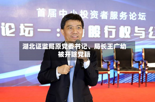 湖北证监局原党委书记、局长王广幼被开除党籍-第2张图片